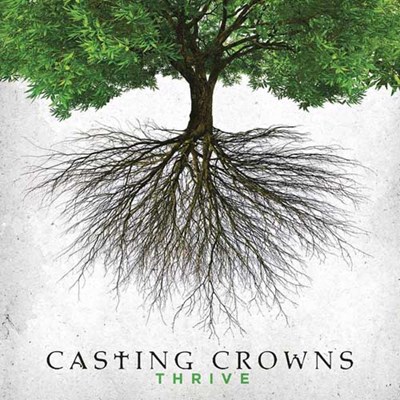 printable lyrics for thrive by casting crowns