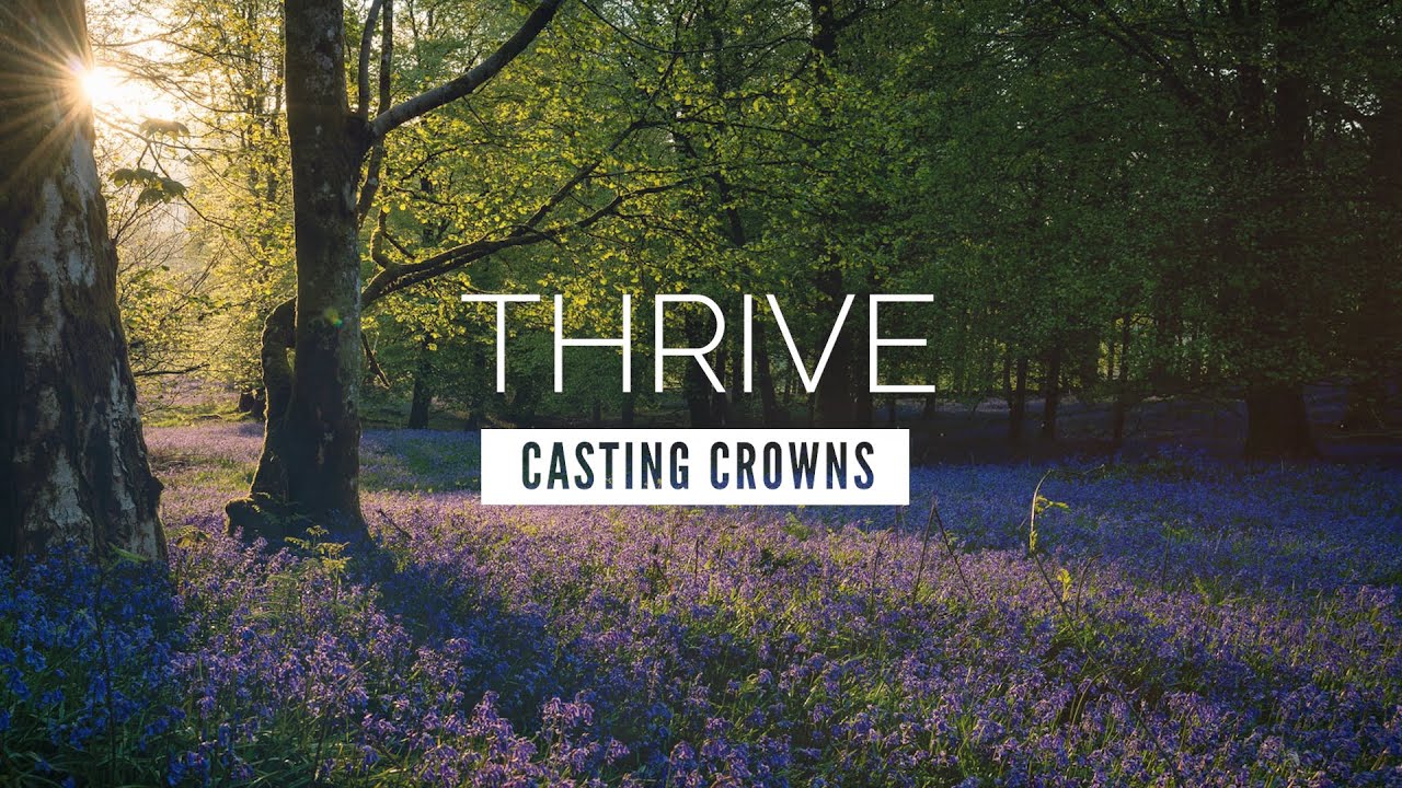 printable lyrics for thrive by casting crowns
