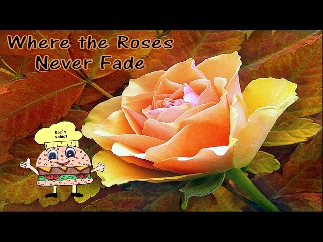 printable lyrics where the roses never fade