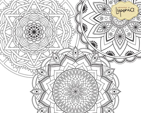 Mandalas Coloring Book multiple Levels Painting Book 12 Beautiful ...