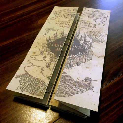 The Giraffe Wrangler // halloweencrafts: DIY Harry Potter...