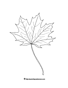 Maple Leaf Coloring Page