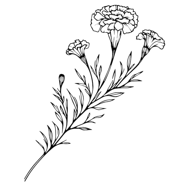 printable marigold flowers