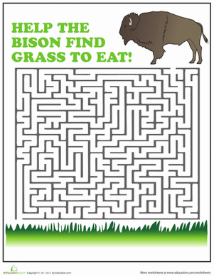 Amazing Animal Mazes
