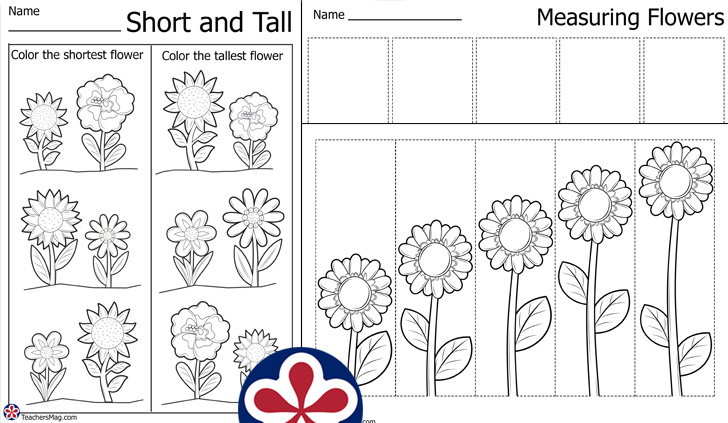 printable measurement worksheet