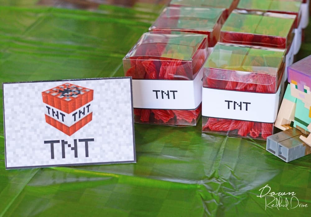 Minecraft Birthday Party | Food, Games, Free Printables!