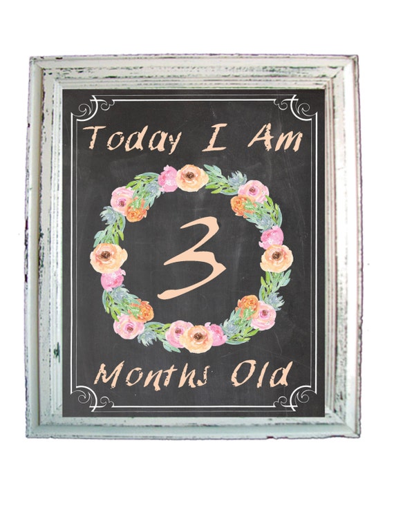 Printable Baby Girl Milestone Card, Baby Milestones Signs ...