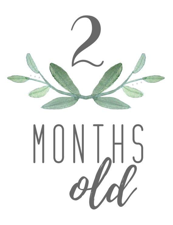 printable month signs for baby pictures