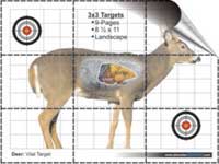 Maple Leaf NFAA Indoor Dual Face | Alternative - Archery Shop ...