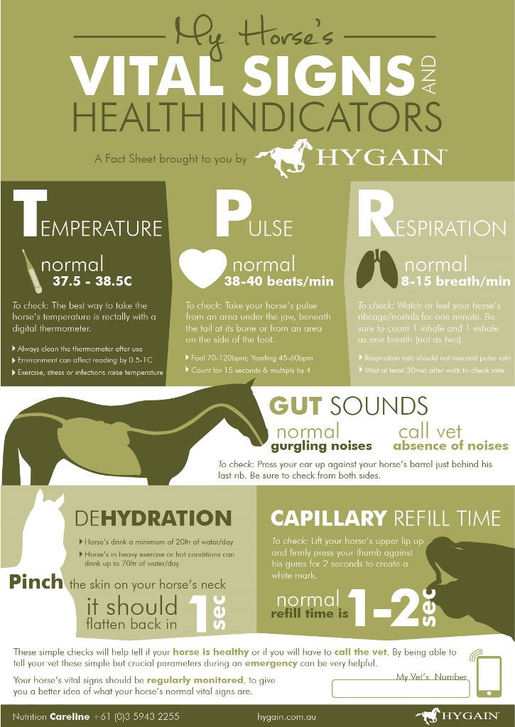 FREE Fact Sheet - Your horses vital signs and health indicators ...