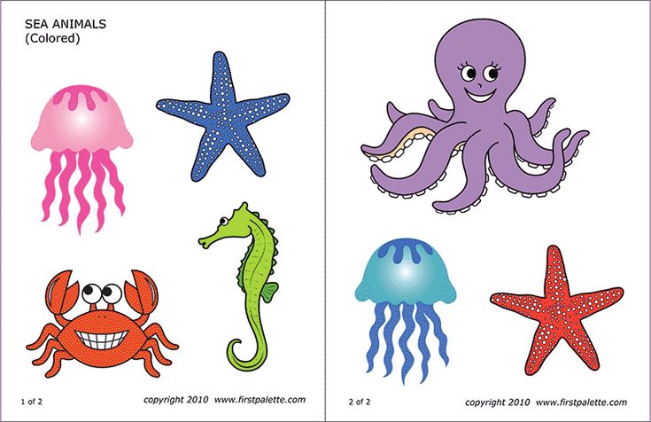 printable ocean animal pictures