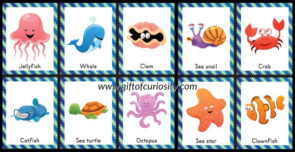 printable ocean animal pictures