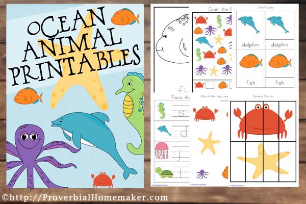 printable ocean animal pictures
