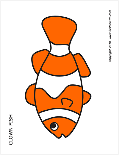 Coral Reef Fishes | Free Printable Templates &  Coloring Pages ...