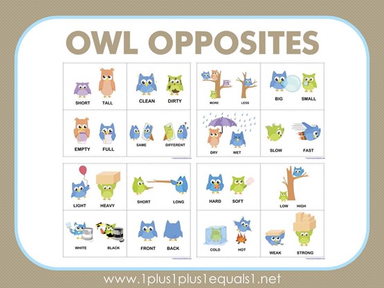 Autism Awareness Month: Free Owl Opposites Flashcard Activity ...