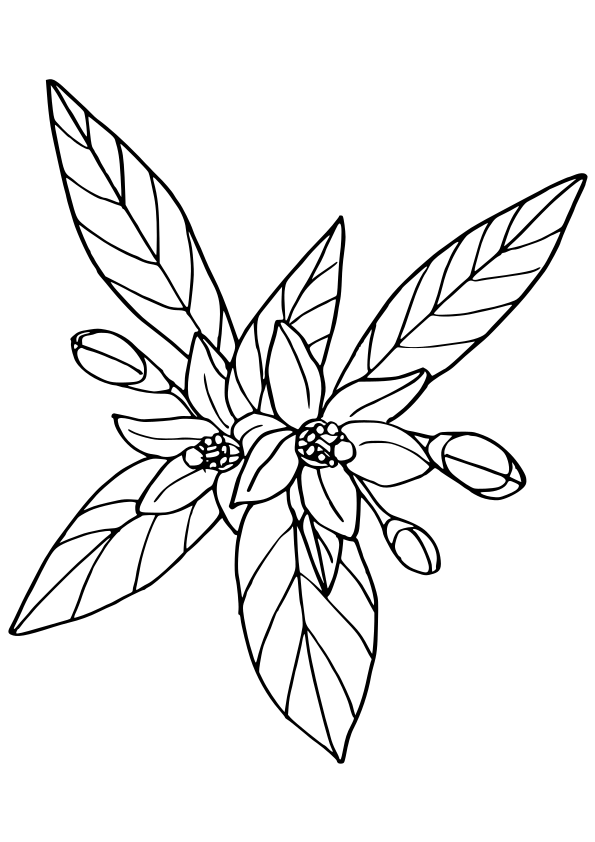 Medium Printable Orange Flower Decorations - Coolest Free Printables