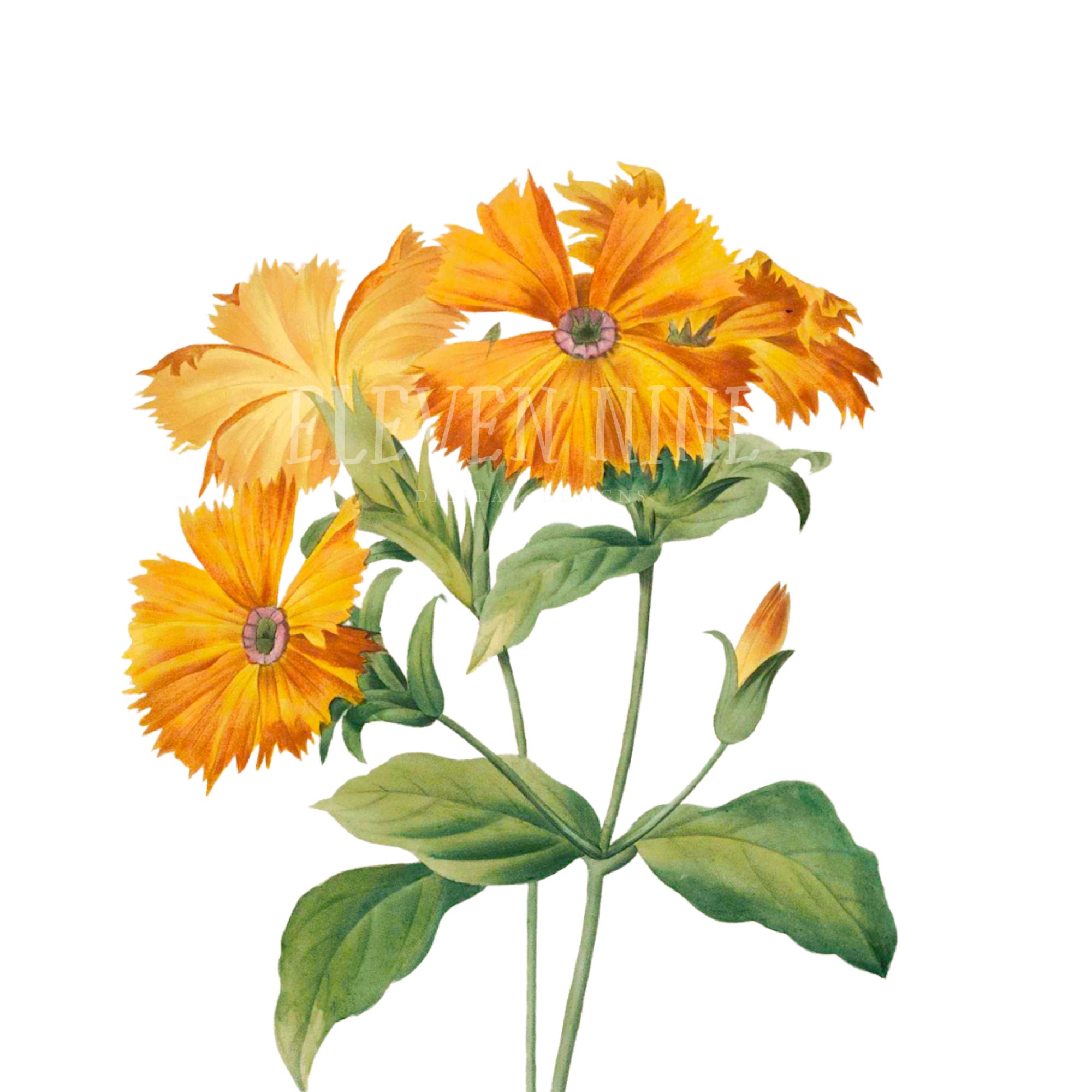 vector clip art online, royalty free &  public domain