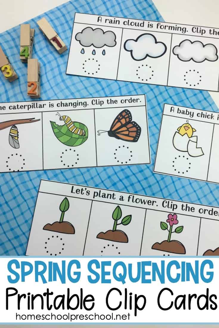 printable order cards