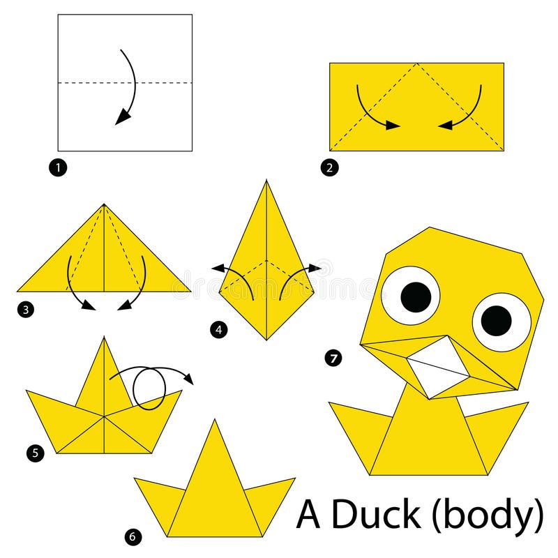 Step by Step Instructions How To Make Origami a Duck Body Stock ...
