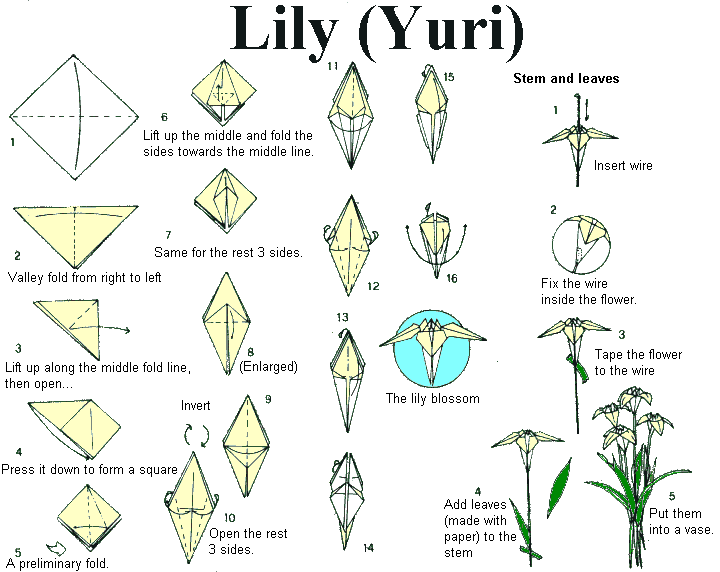 Detailed Flower Origami Instructions 2019