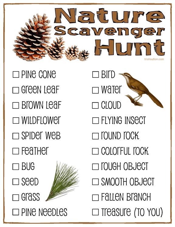 printable outdoor scavenger hunt