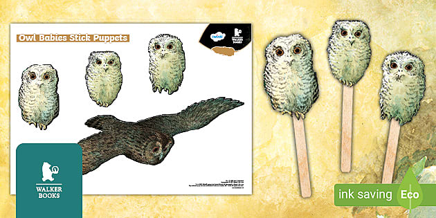 printable owl babies pictures