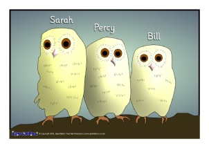 printable owl babies pictures
