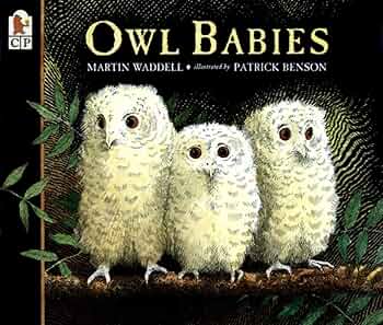 printable owl babies pictures