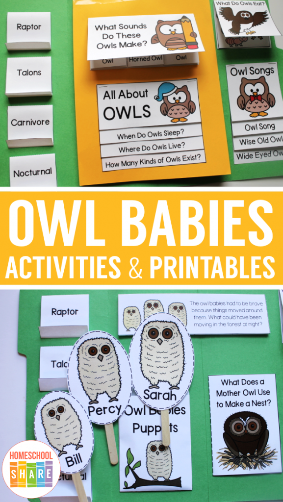 printable owl babies pictures