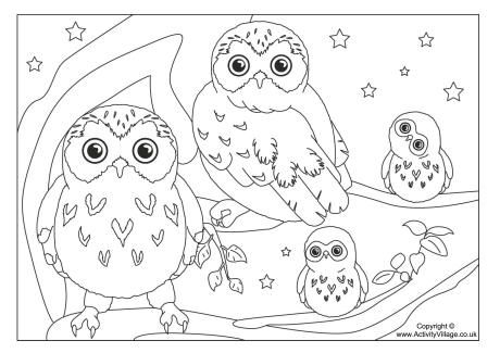 printable owl babies pictures