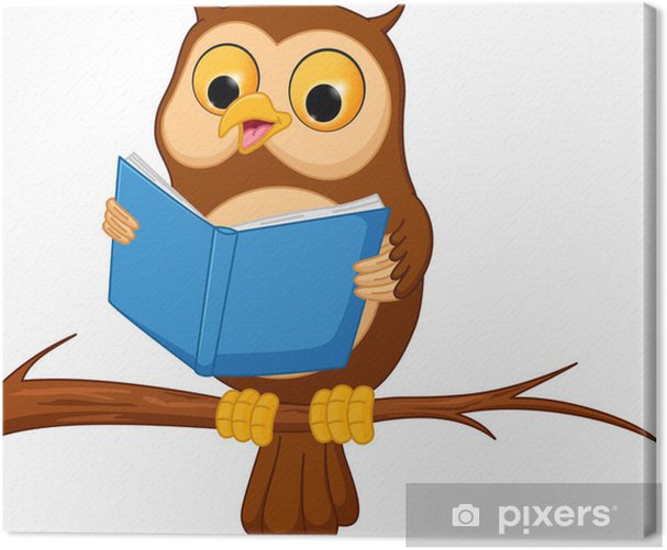 Little Owl in the Tree - Online Book Activities | KidsSoup