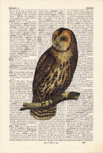 Owl No. 3 - Print on antique book page