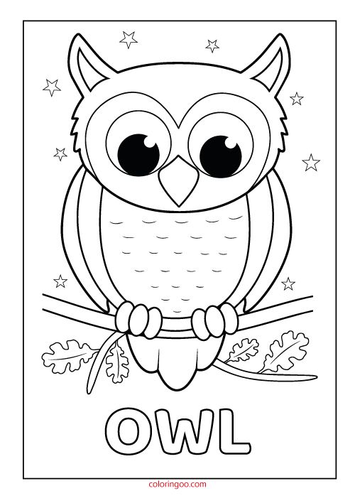 Owl Printable Coloring - Drawing Pages