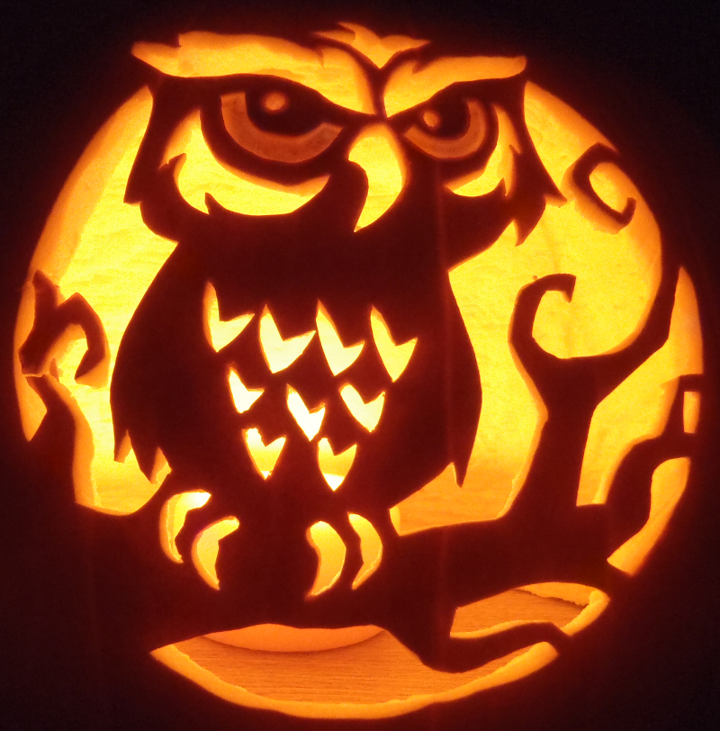 Spooky Curious Owl by johwee on DeviantArt
