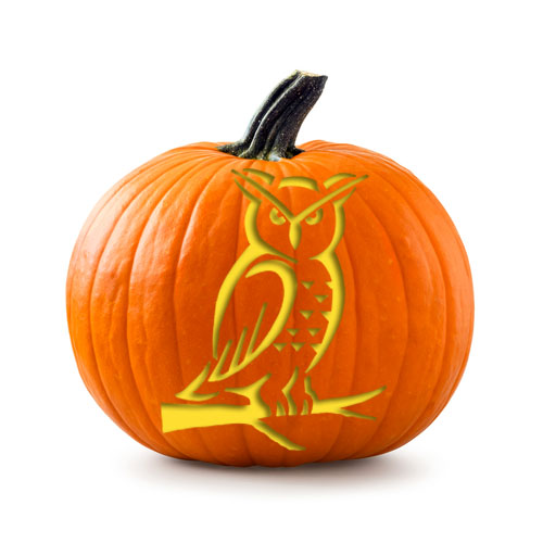 Download Pumpkin Carving Stencils from WWF | World Wildlife Fund