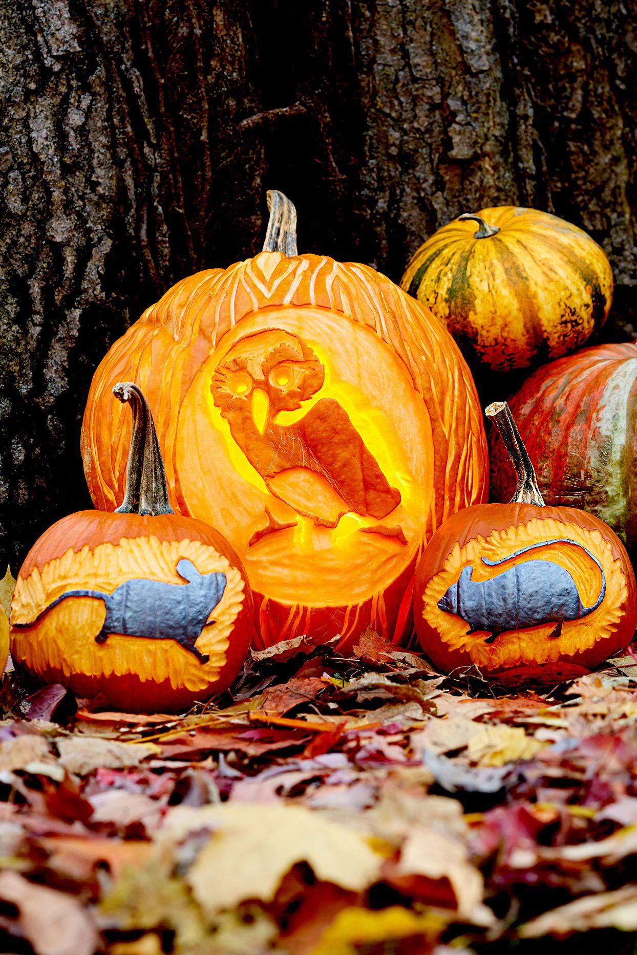 12 Adorable (and Free!) Woodland Creature Pumpkin Stencils