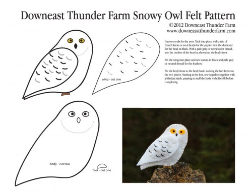 A Downeast Thunder Farm Snowy Owl | Downeast Thunder Farm