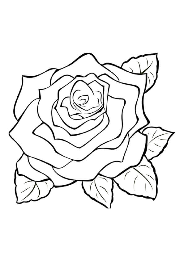 printable pages of flowers