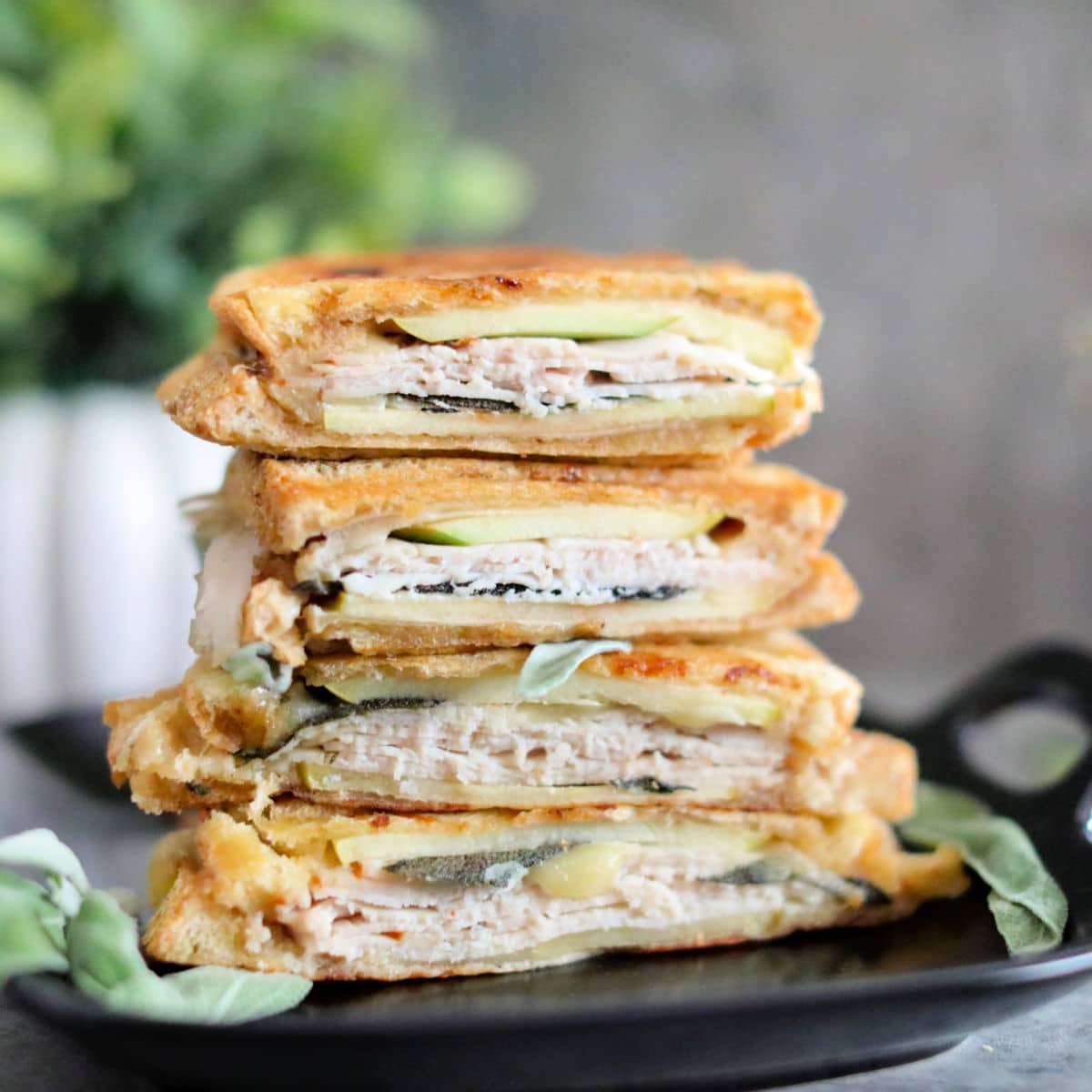 Turkey Panini With Cheddar and Apple
