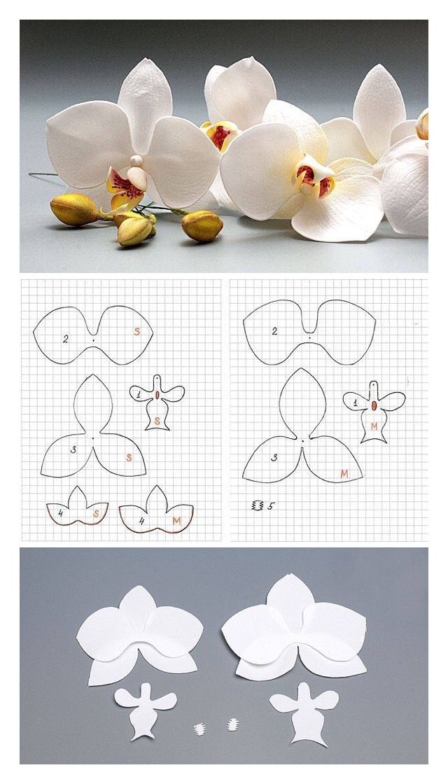 Pin page