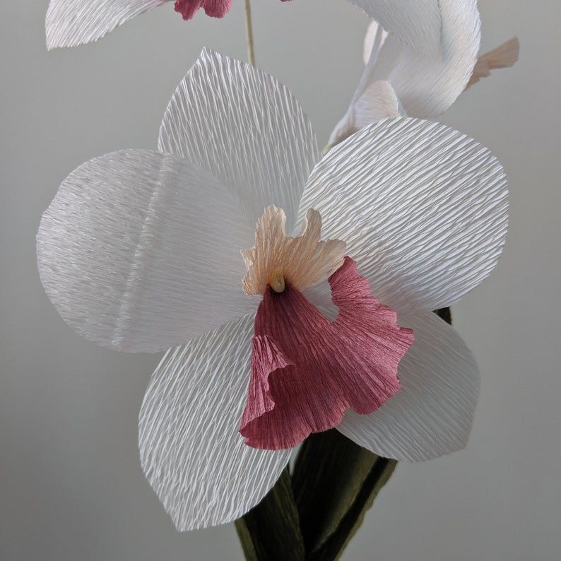 Downloadable Crepe Paper Orchid Template/PDF Printable Download ...