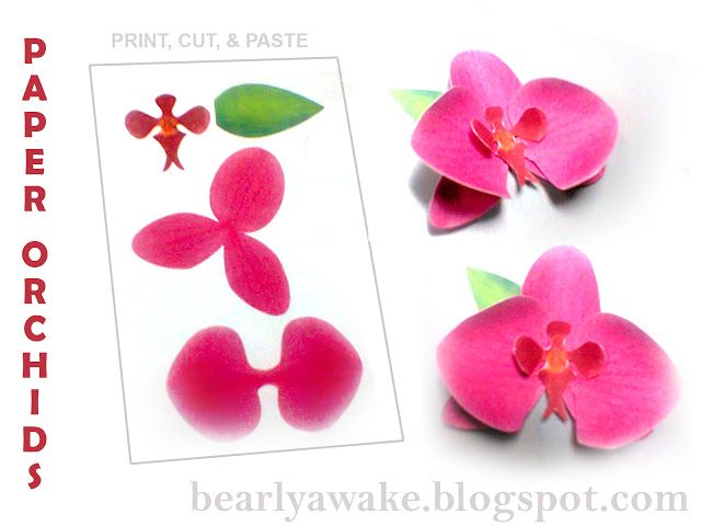Make your own Paper Orchids