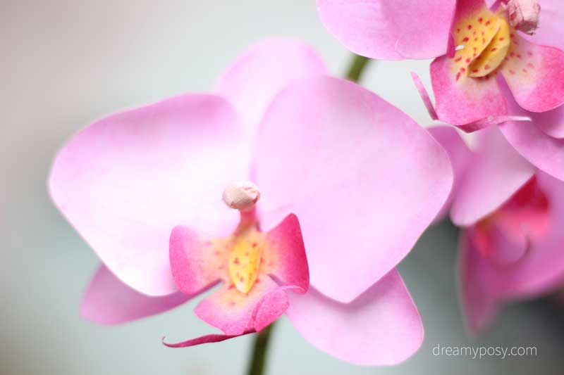 printable paper orchid
