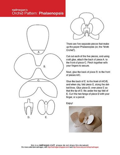 Making Paper Orchids: The How-To - Radmegan