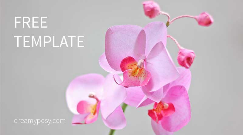 printable paper orchid