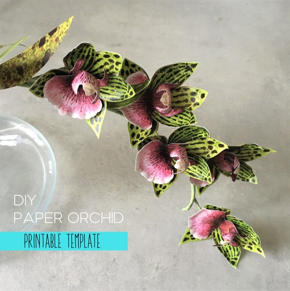 Paper Orchid Printable Tutorial and Templates, DIY Flower ...