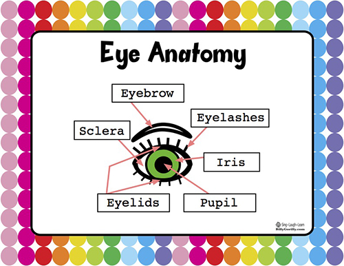 printable parts of the eyes