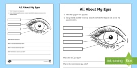 printable parts of the eyes