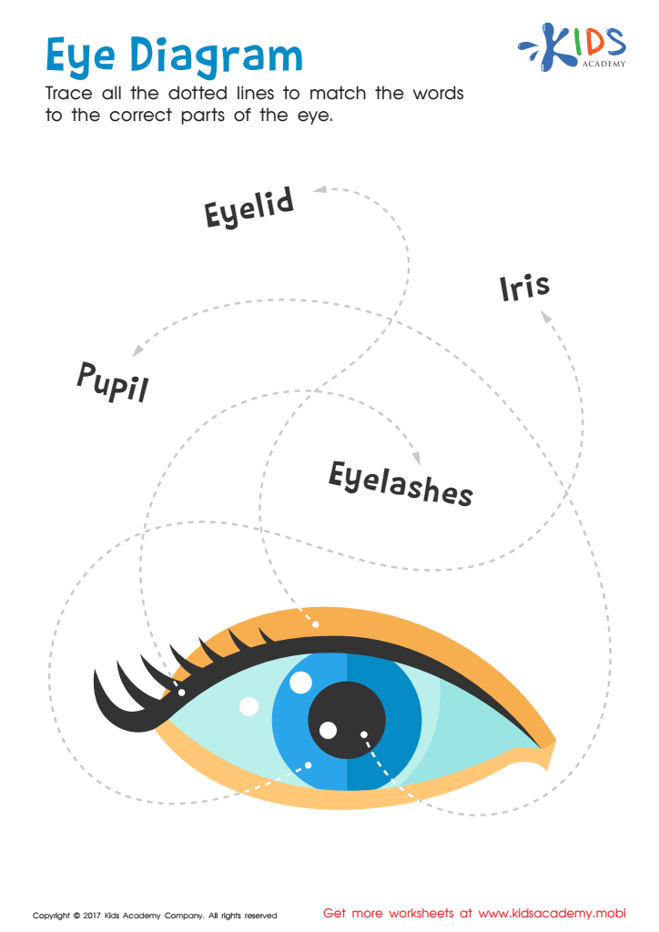 printable parts of the eyes