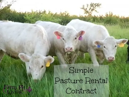 printable pasture lease agreement